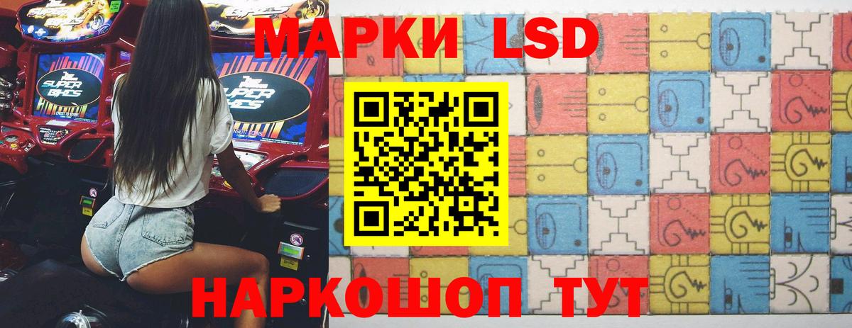 Псилоцибиновые грибы Гусь-Хрустальный