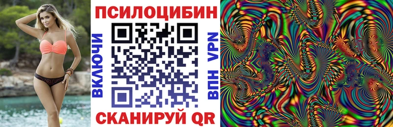 купить   Гусь-Хрустальный  Галлюциногенные грибы Cubensis 