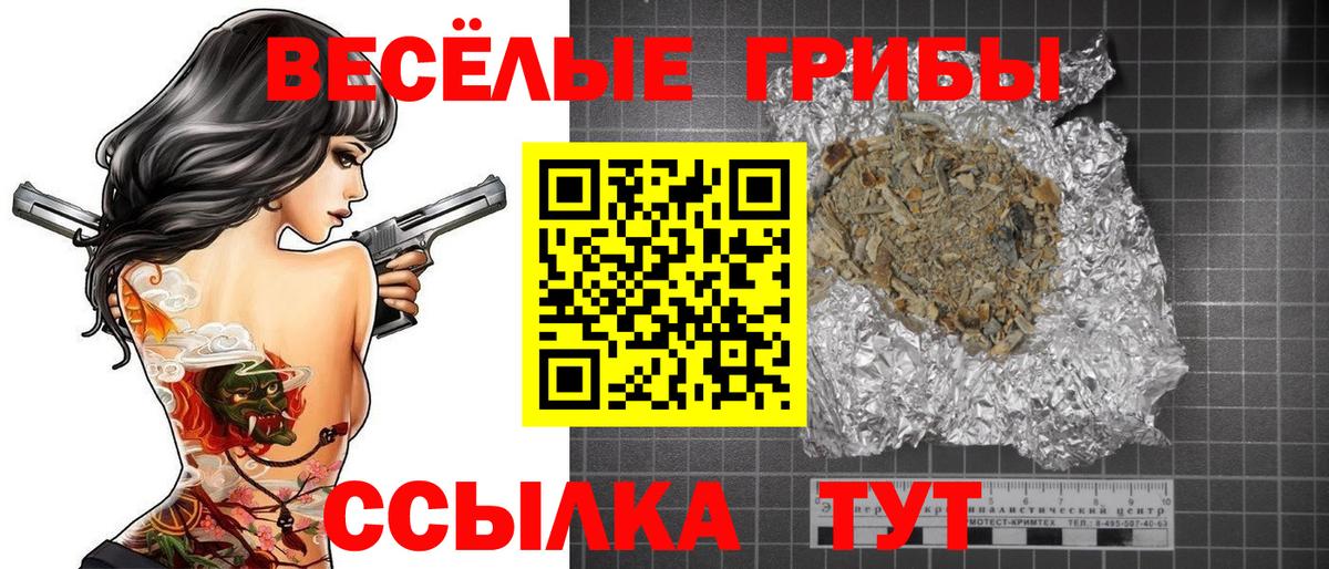 как найти   Вход с VPN  Гусь-Хрустальный  Псилоцибиновые грибы GOLDEN TEACHER 