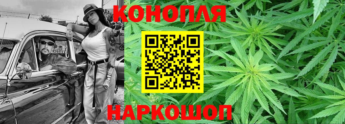 Бошки Шишки марихуана  Гусь-Хрустальный  Каннабис Ganja  Бошки марихуана THC 21%  Шишки марихуана план 